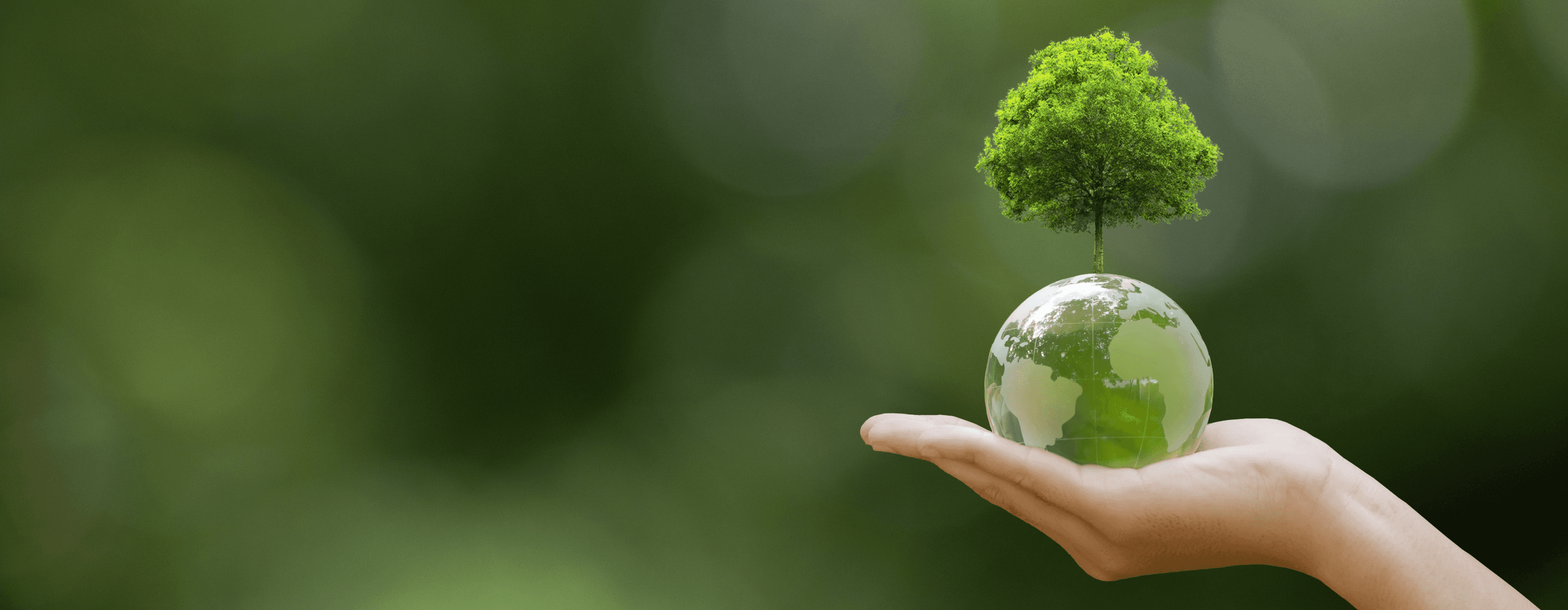 Sub pages hero image