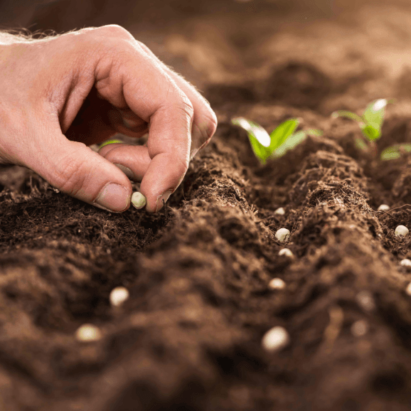 Objetivo del programa