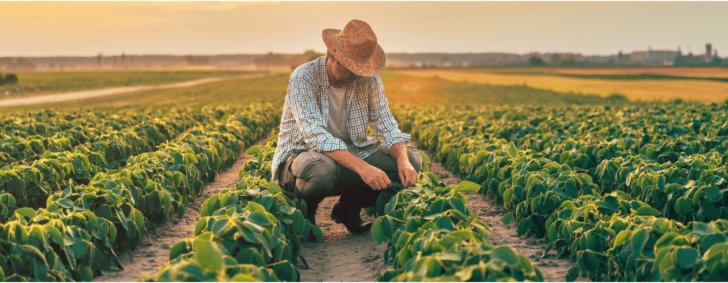 Sub pages hero image