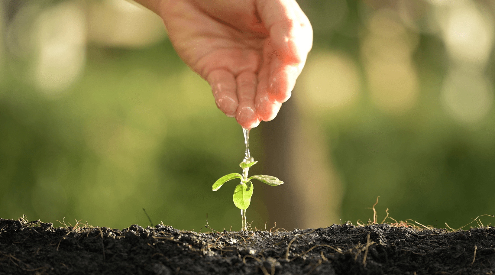 Política de Sostenibilidad