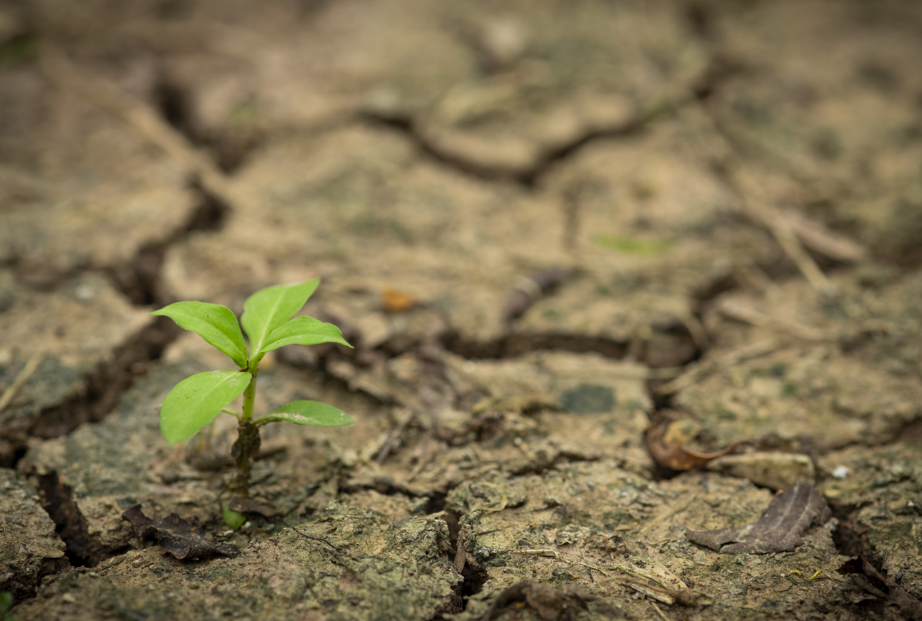 Historical image from 2015